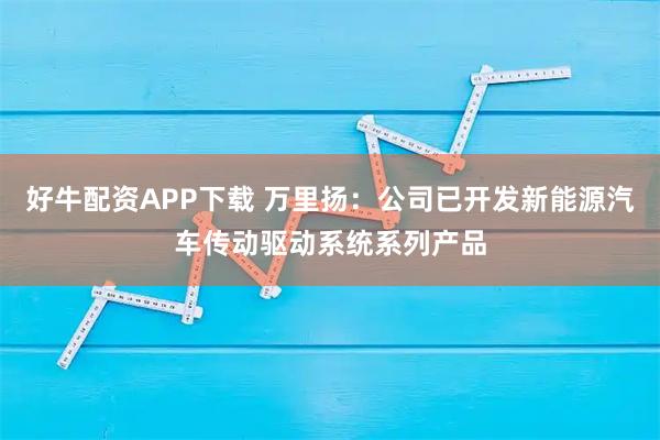 好牛配资APP下载 万里扬：公司已开发新能源汽车传动驱动系统系列产品