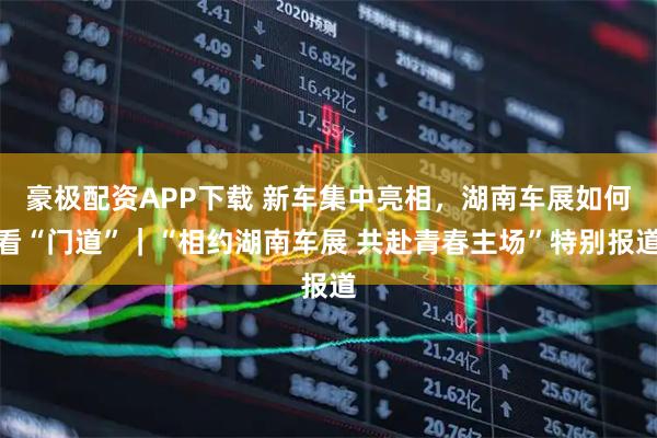 豪极配资APP下载 新车集中亮相，湖南车展如何看“门道”｜“相约湖南车展 共赴青春主场”特别报道